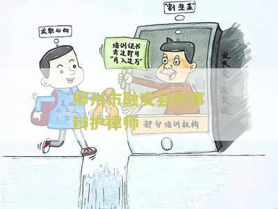 柳州市融安县刑事辩护律师：为什么选择专业律师能够保护您的权益？