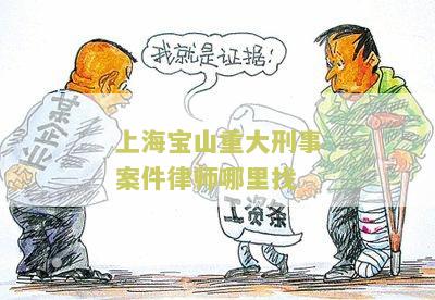 上海宝山重大刑事案件律师哪里找