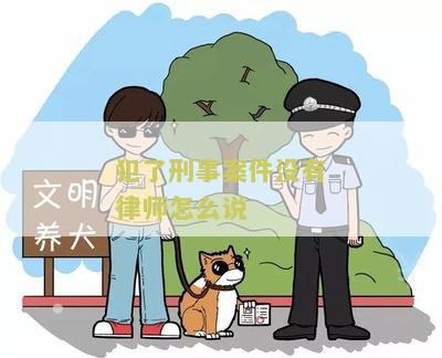 犯了刑事案件没有律师怎么说？寻求法律援助的用户需求