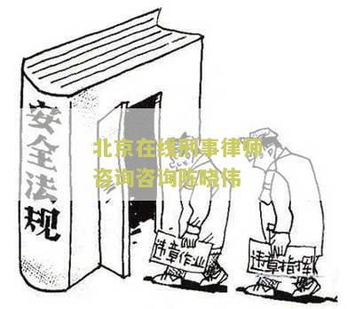 北京在线刑事律师咨询咨询陈晓伟：寻求专业法律建议和咨询的用户需求