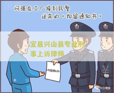 宜兴山县专业刑事上诉律师：如何选择合适的法律援助？