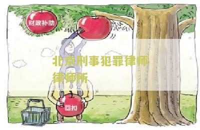 北京刑事犯罪律师律师所地址电话及事务详情
