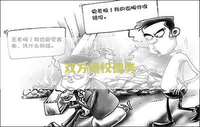 双方债权债务：寻求专业法律咨询与解决方案