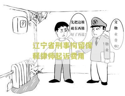 辽省刑事拘留保释律师起诉费用有哪些？