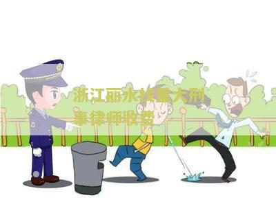 浙江丽水找重大刑事律师收费多少