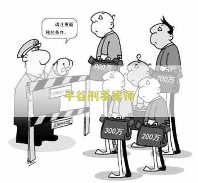 平谷刑事律师：寻求协助处理刑事案件的法律专家