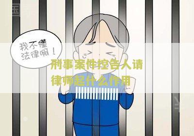 刑事案件控告人请律师起什么作用