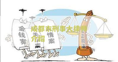 成都市刑事大律师介绍资料