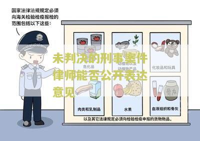 未判决的刑事案件律师能否公开表达意见