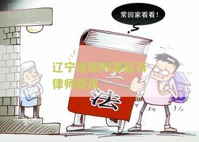 辽沈阳刑事起诉律师费用是多少，沈阳刑事案件律师费用收取标准