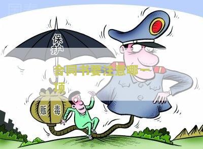 合同书要点：如何合成一个完整标题