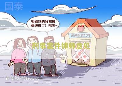 刑事案件律师意见