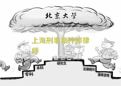 上海刑事案件律师在线咨询电话平台收费