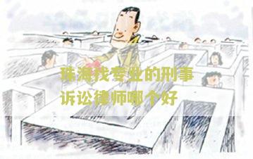 珠海找专业的刑事诉讼律师哪个好一点