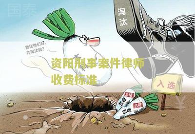 资阳刑事案件律师收费标准最新消息、文件和规定