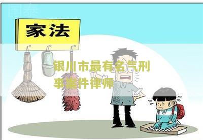 银川最有名的刑事案律师及事务所排名