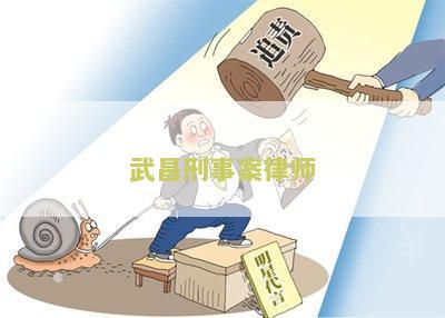 武刑事案律师电话号码及律师事务所联系方式