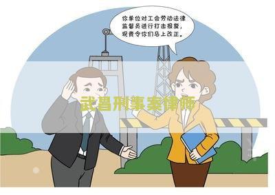 武汉刑事案律师所：地址、排名、电话及服务内容
