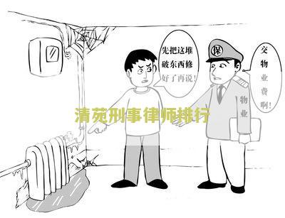 清苑刑事律师排行榜前十名名单