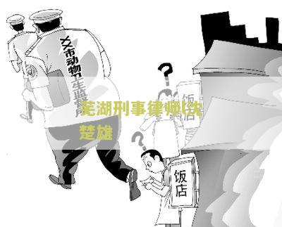 芜湖刑事律师很好沈楚雄律师