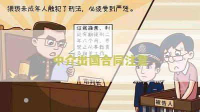 中介出国合同注意