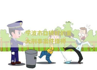 波市口碑好的重大刑事案件律师