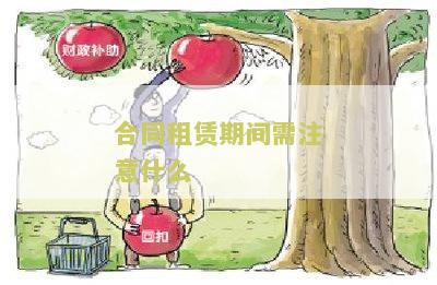 租赁合同应当注意什么问题及主要条款