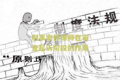 刑事案件律师在审查起诉阶的作用