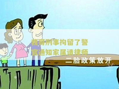 刑事拘留请律师会见了,下一步怎么办处理