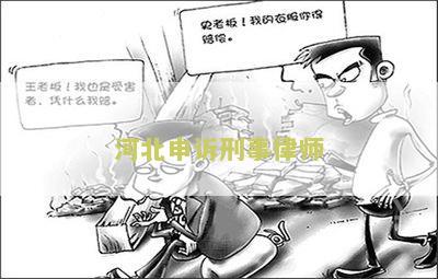 河北申诉刑事律师