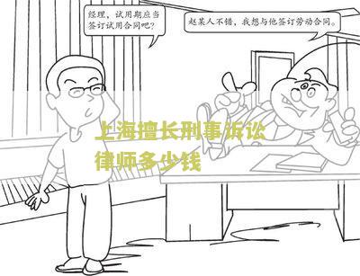 上海擅长刑事的律师事务所排名