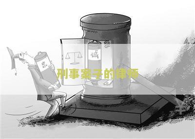 刑事案子律师费用谁承担