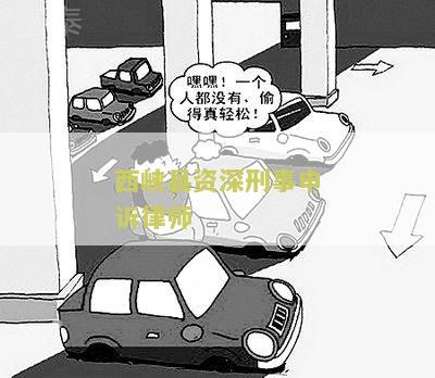 南阳刑事上诉律师事务所及名单