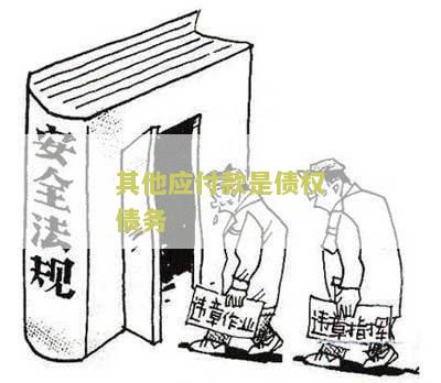 其他应付款是债权债务还是债务资产与重组承担？