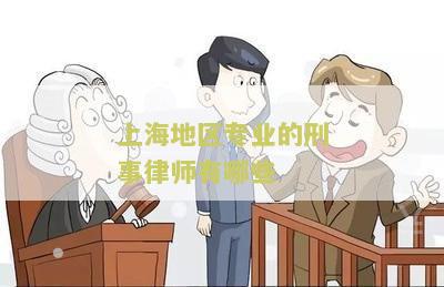 上海地区专业的刑事律师有哪些公司和人 推荐