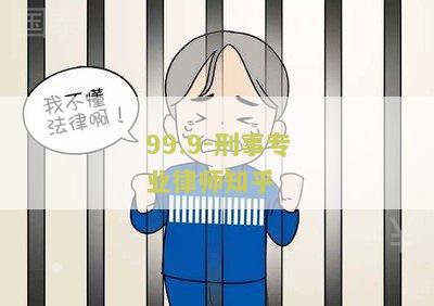 刑事专业律师2：99.9