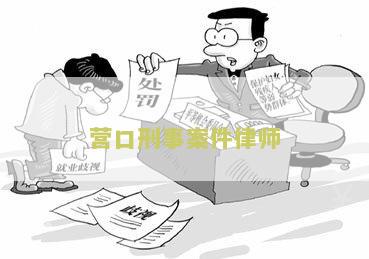 营口刑事案件律师