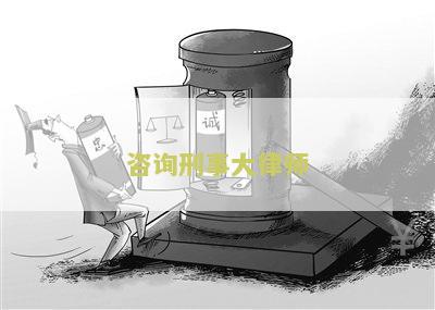 咨询刑事大律师