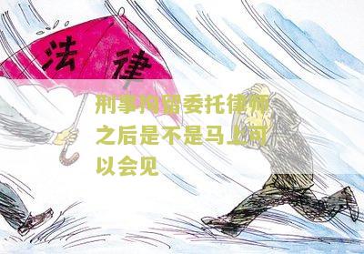 刑事拘留请律师会见了,下一步怎么办