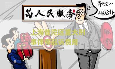 上海普陀区重大刑事律师起诉费用多少钱？