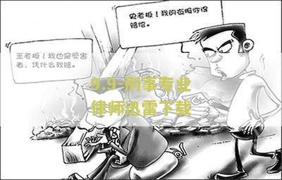 刑事专业律师第一1080p免费