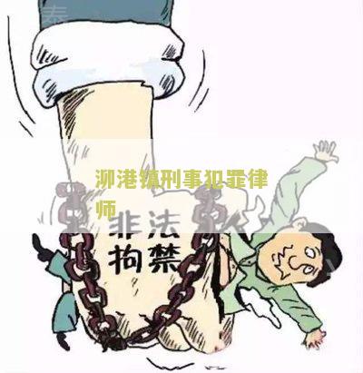 泖港镇刑事犯罪律师
