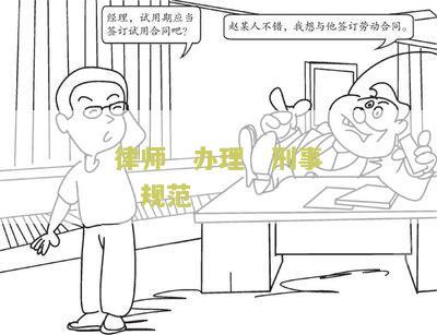 《律师办理刑事案件规》2017有效