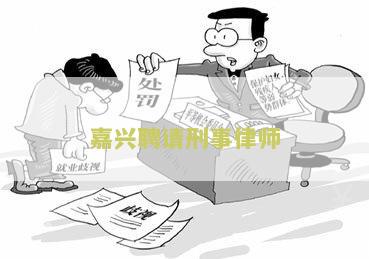 嘉兴市刑事案件律师名单及律师事务所