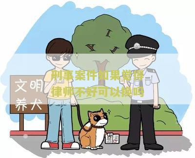 刑事案件换律师怎么和原来的律师说，刑事案件换律师应该怎么办