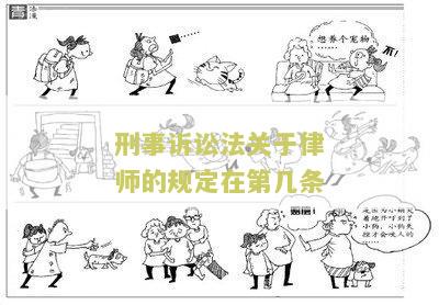 刑事诉讼法请律师：费用、会见和权利