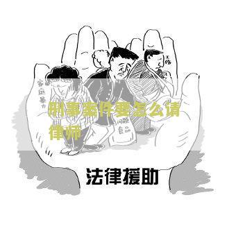 刑事案件如何请律师辩护团队及鉴定代理？