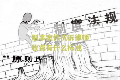 刑事案件抗诉律师收费有什么标准