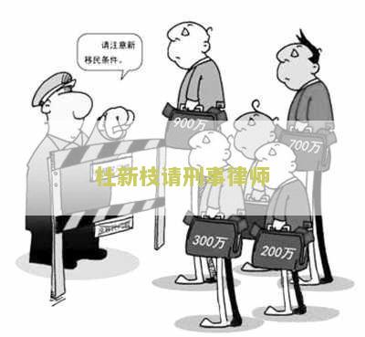 新枝的辩护律师是谁，叫什么，有哪些