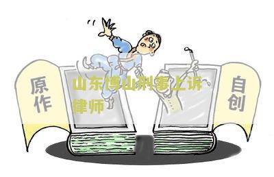山东博山刑事上诉律师